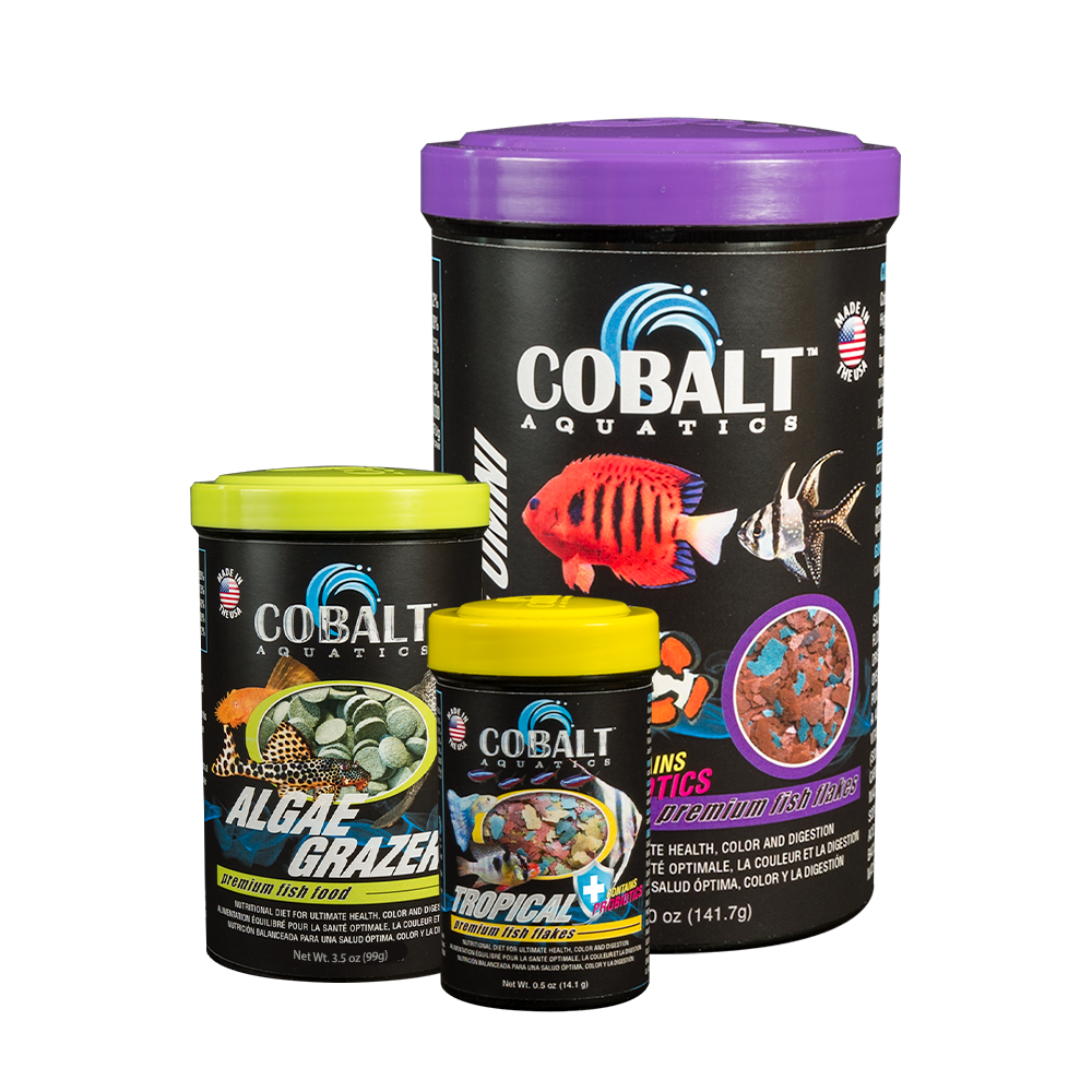 Cobalt cichlid food hot sale