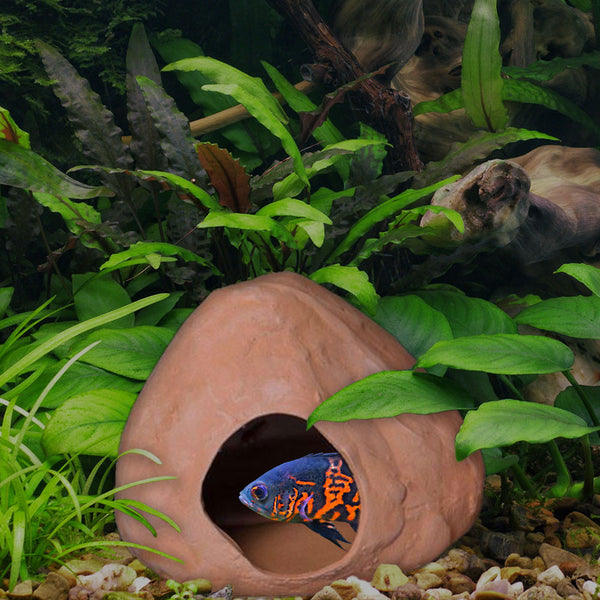 Cichlid Huts