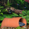 Pleco Caves