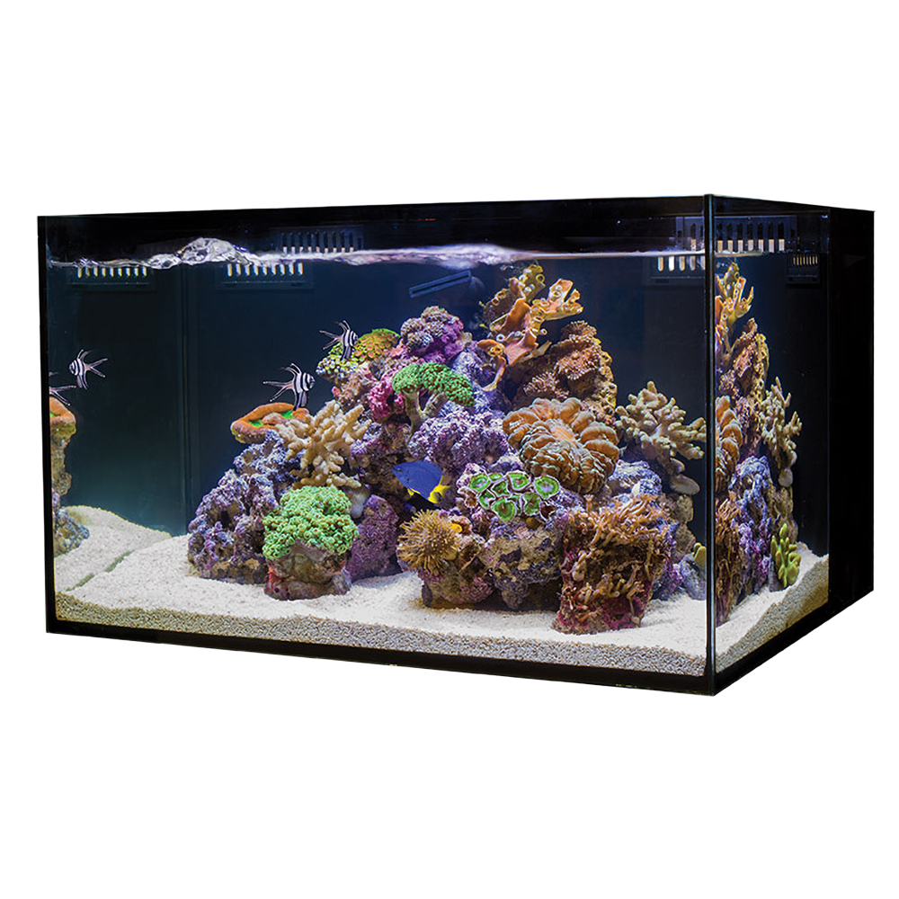 C-Vue 18 Gallon All-In-One Aquarium