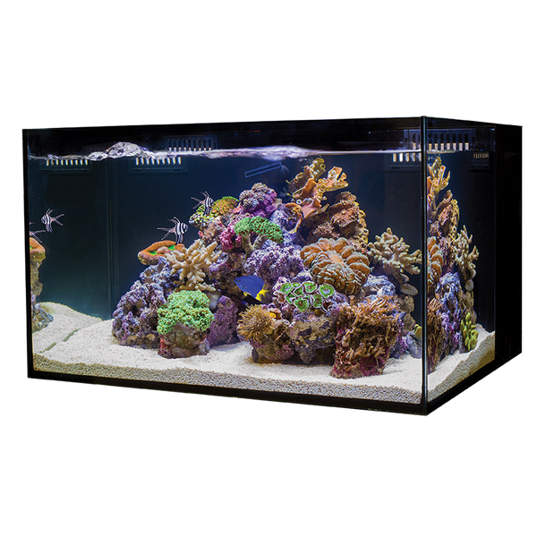 C-Vue 18 Gallon All-In-One Aquarium
