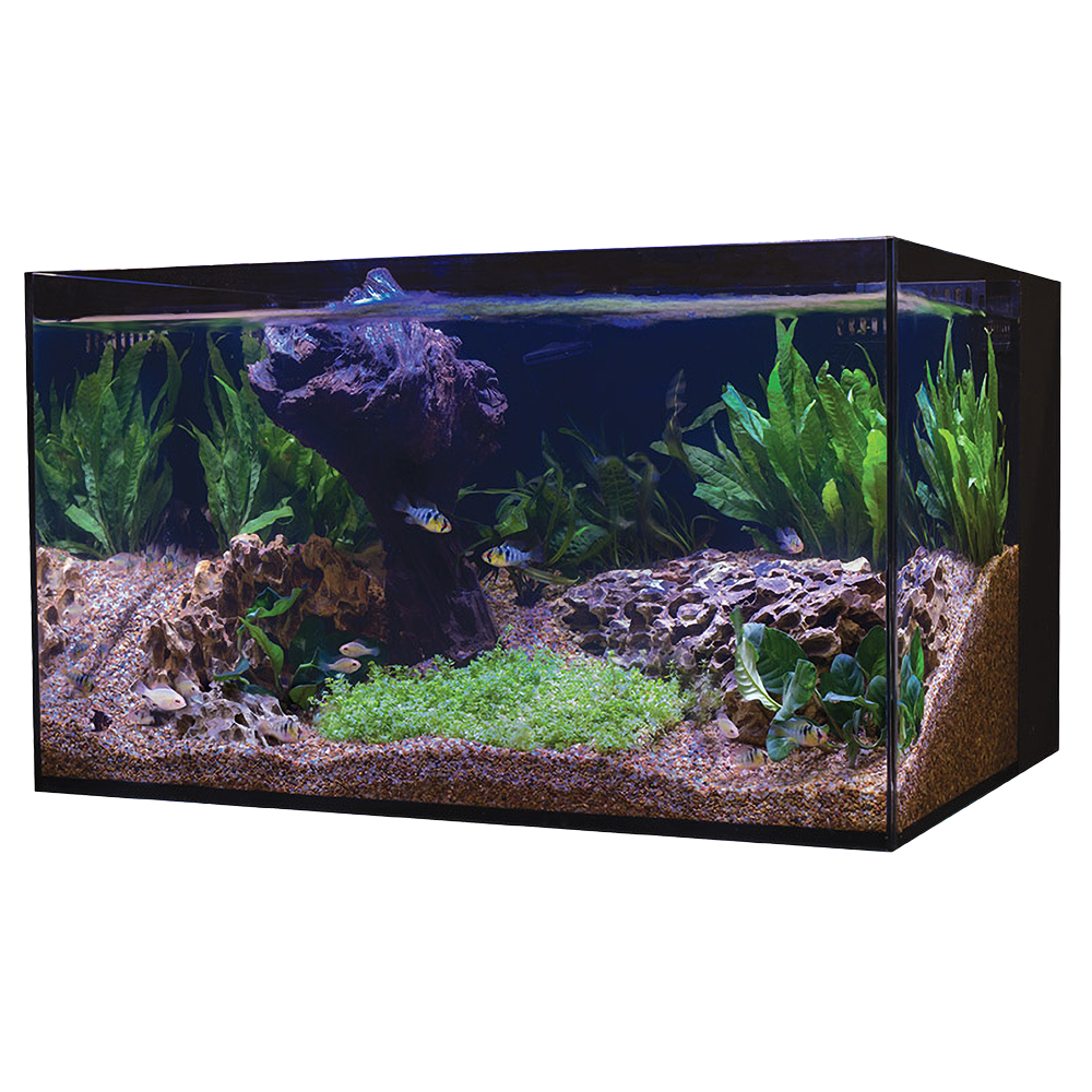 C-Vue 26 Gallon All-In-One Aquarium