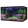 C-Vue 26 Gallon All-In-One Aquarium