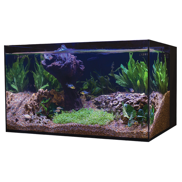 C-Vue 26 Gallon All-In-One Aquarium
