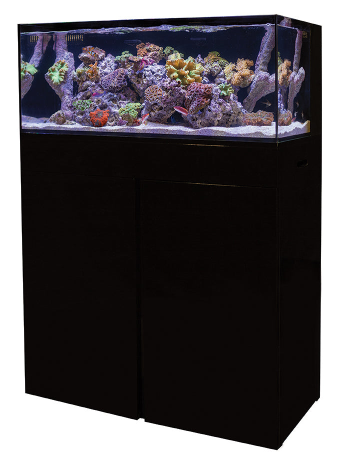 C-Vue 40 Gallon All-In-One Aquarium