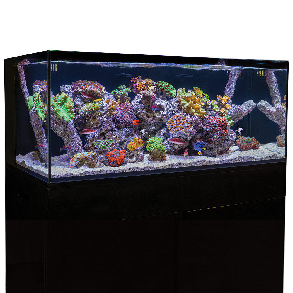 C-Vue 40 Gallon All-In-One Aquarium