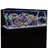 C-Vue 40 Gallon All-In-One Aquarium