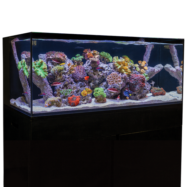 C-Vue 40 Gallon All-In-One Aquarium