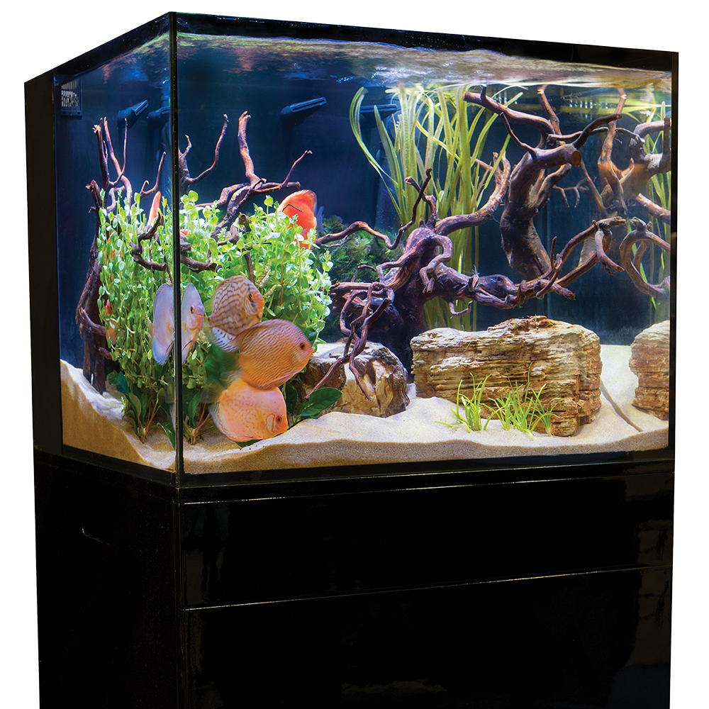 C-Vue 45 Gallon All-In-One Aquarium