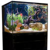 C-Vue 45 Gallon All-In-One Aquarium