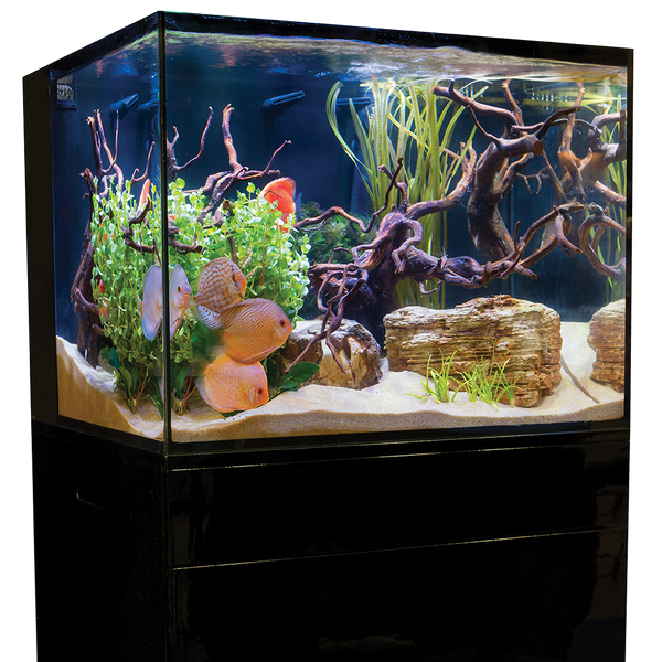 C-Vue 45 Gallon All-In-One Aquarium