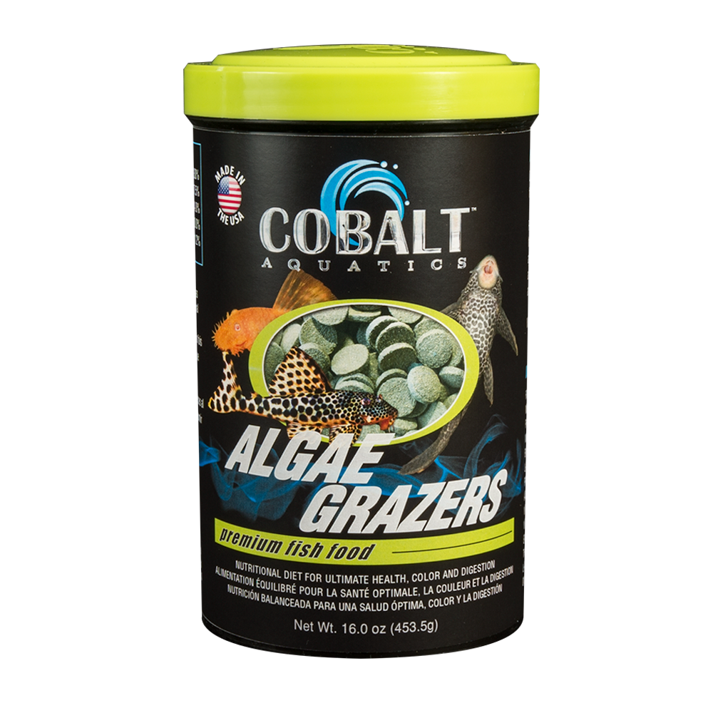 Algae Grazers Fish Food