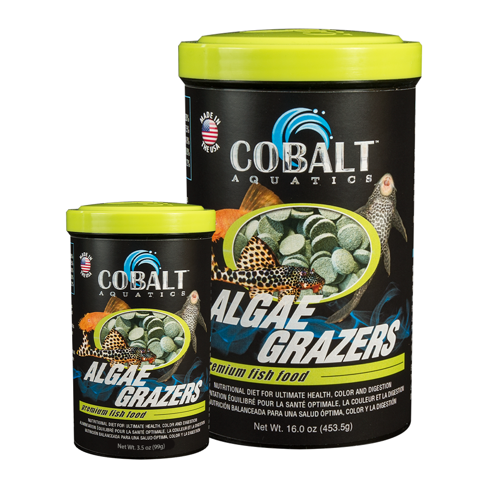 Algae Grazers Fish Food