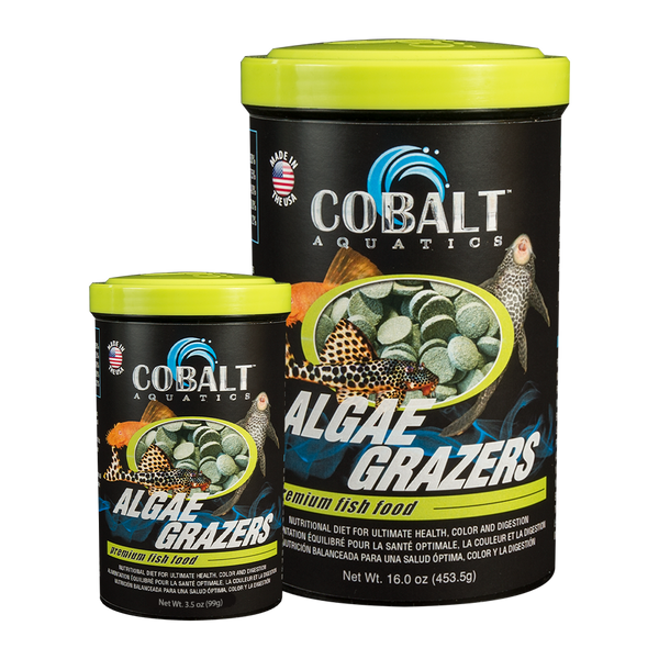 Algae Grazers Fish Food