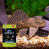Algae Grazers - Select