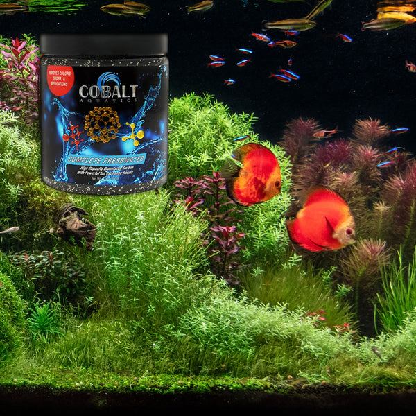 Complete Freshwater
