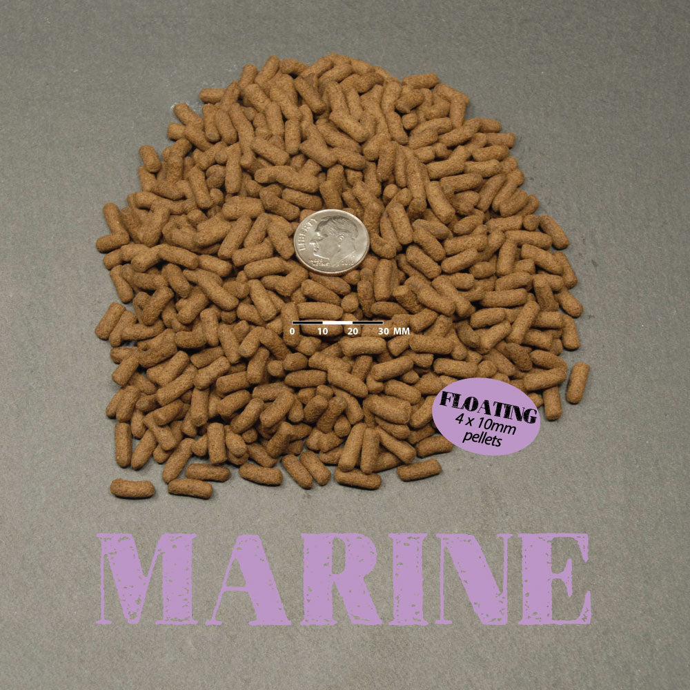 Ultra Marine Jumbo Pellets