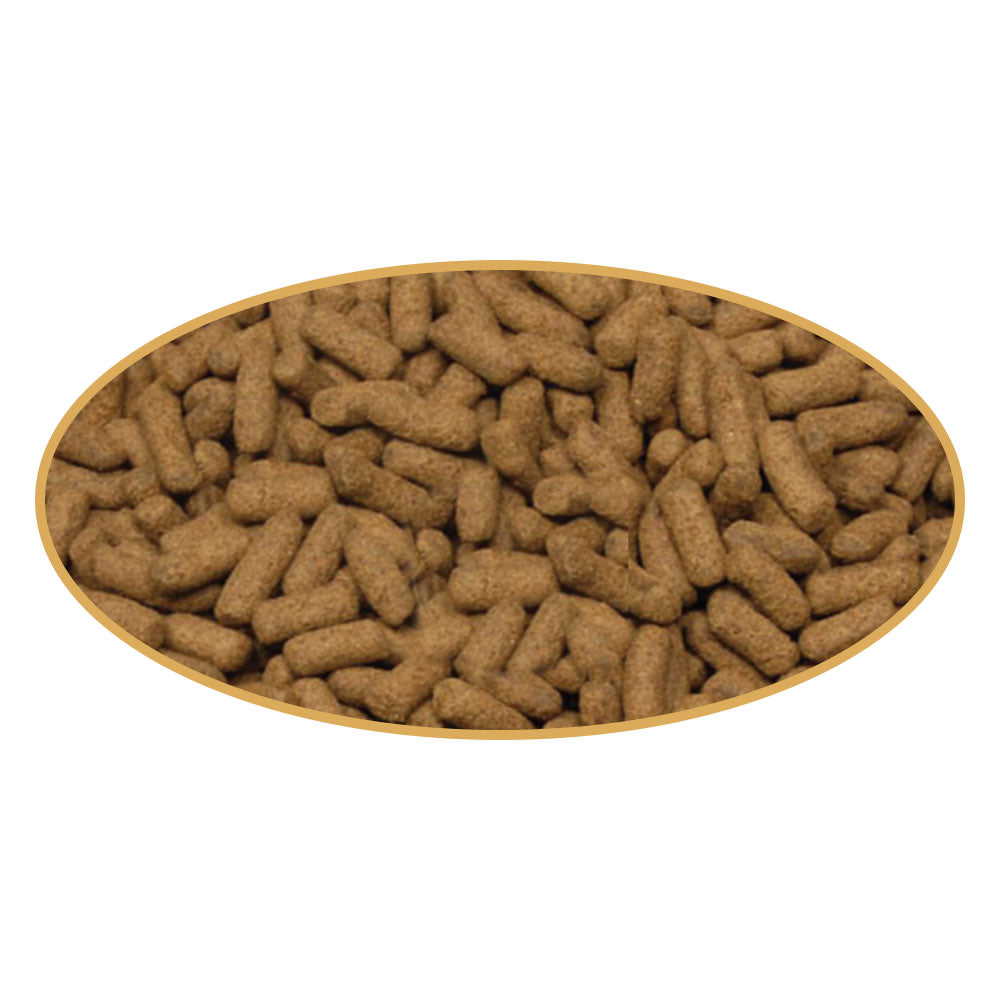 Bottom Feeder Pellet - Select