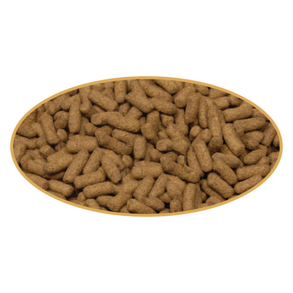 Bottom Feeder Pellet - Select