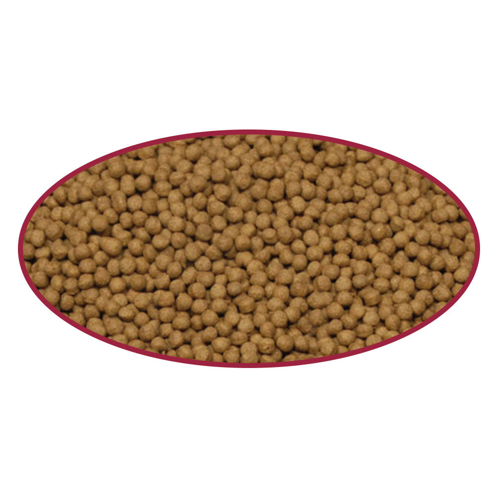 Cichlid Medium Pellets - Select