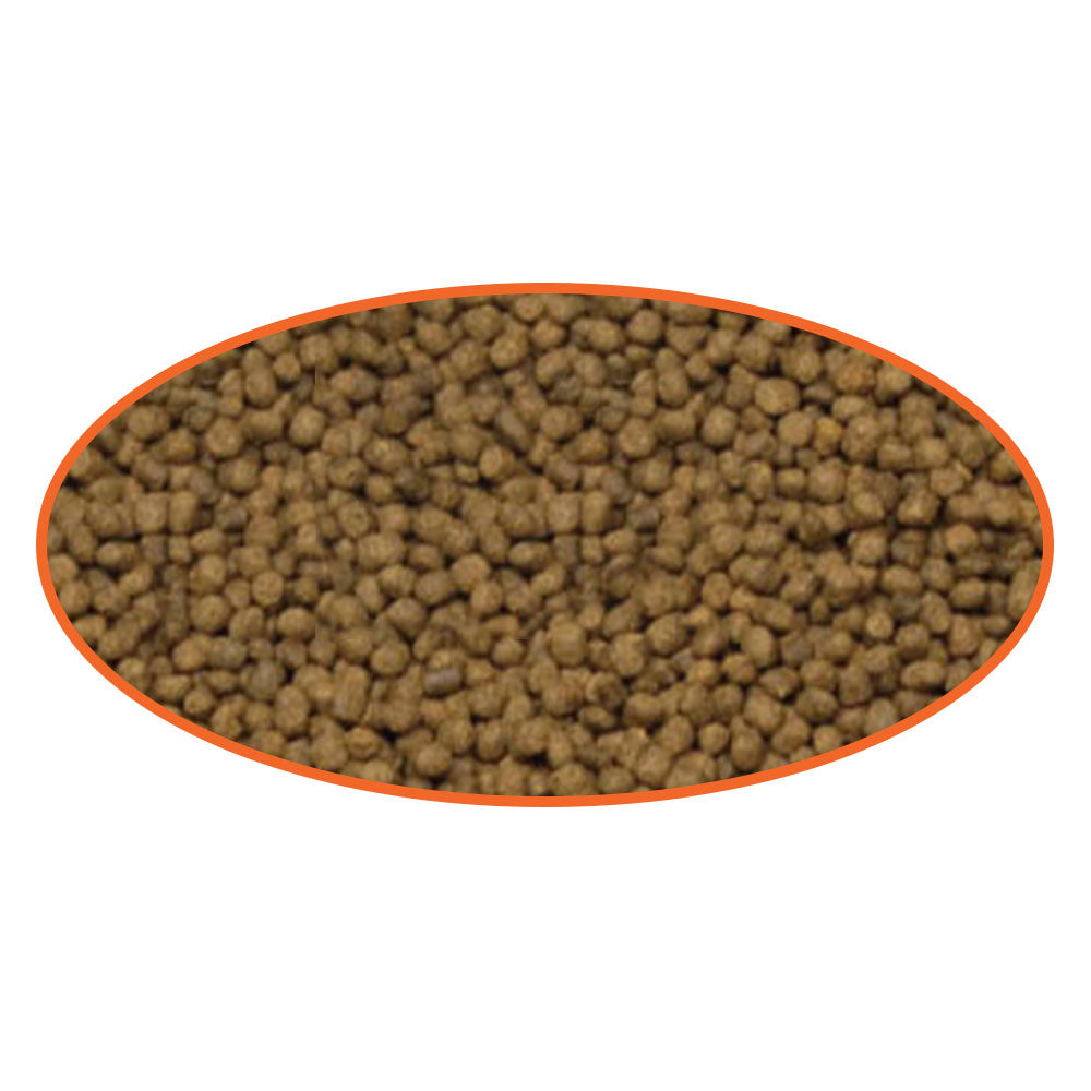 Goldfish Pellets - Select