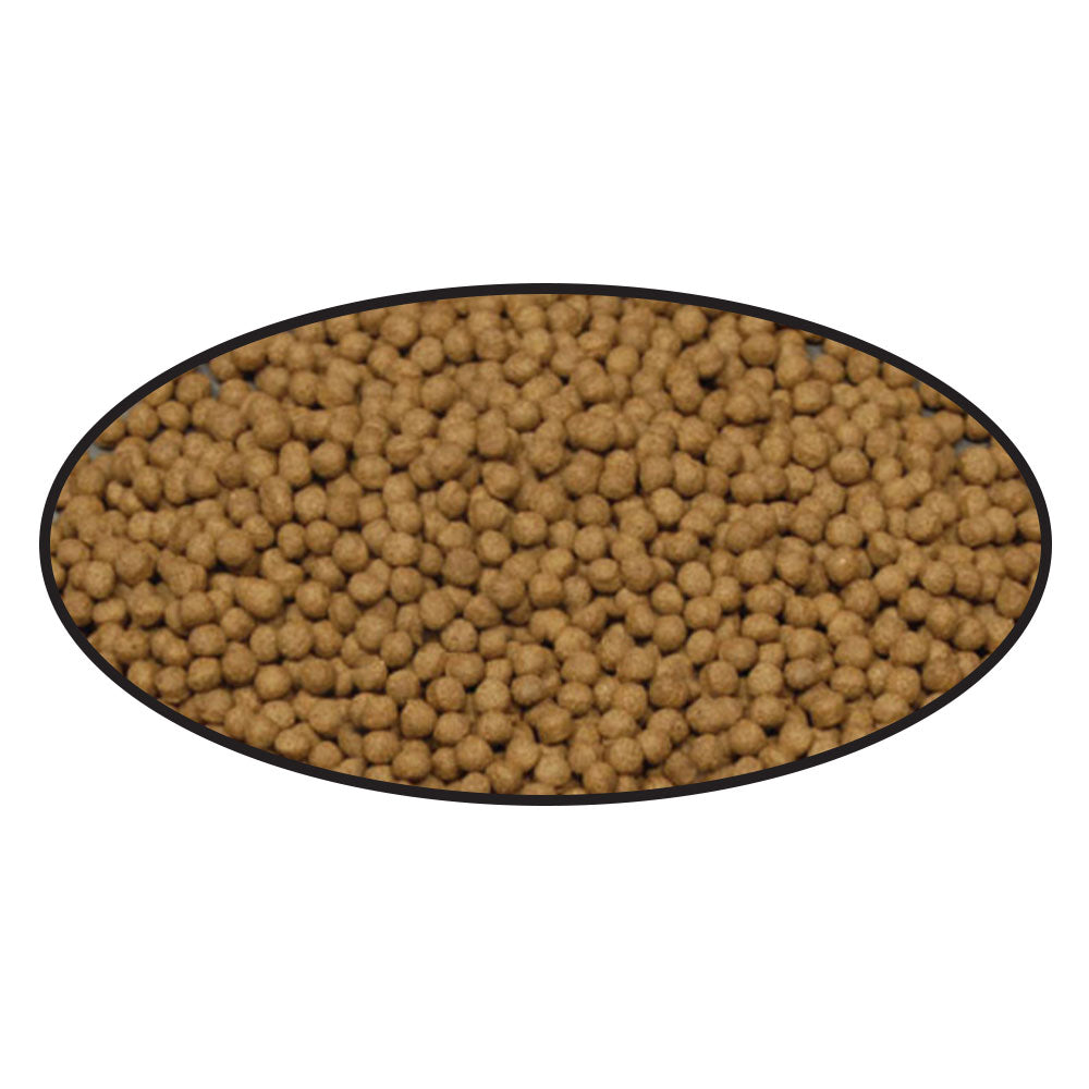 Shrimp Pellets - Select