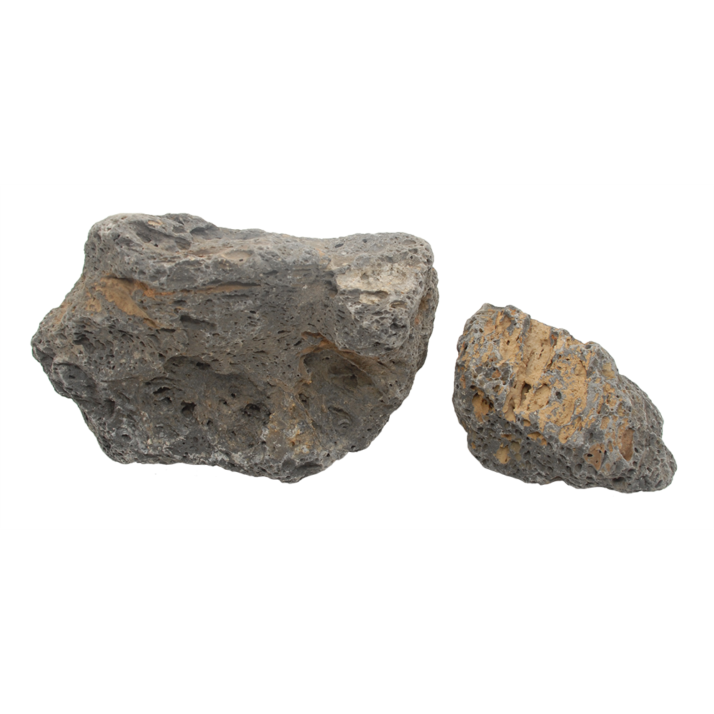 Tortoise Rock - 44lbs