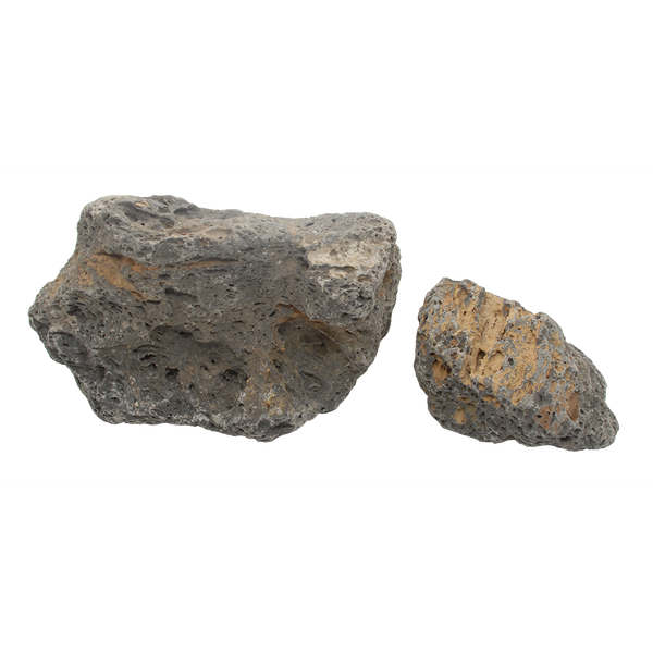 Tortoise Rock - 44lbs