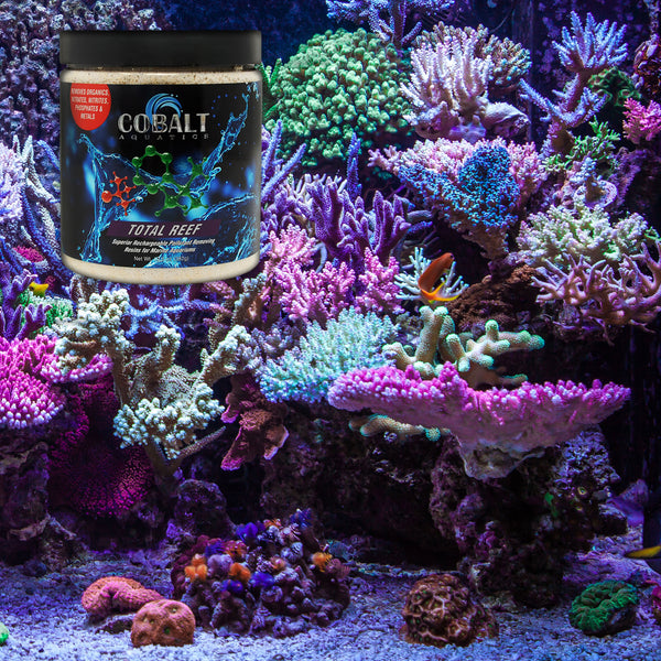 Total Reef