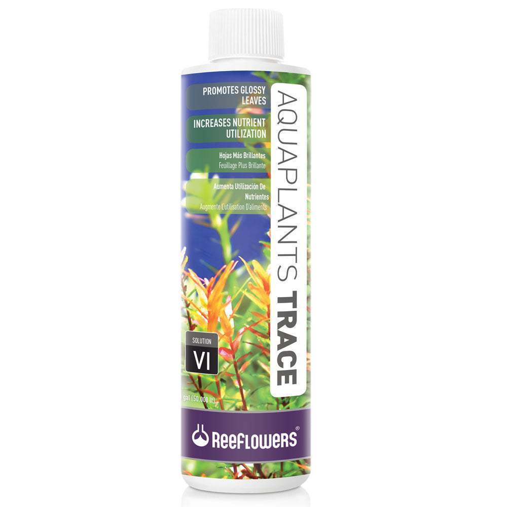 AquaPlants Trace - VI