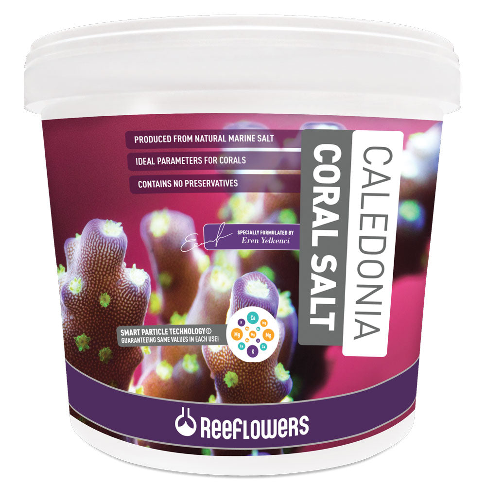 Caledonia Coral Salt