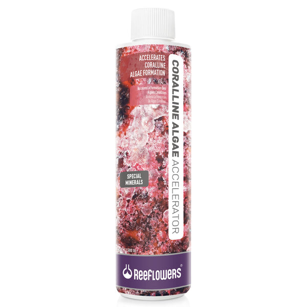 Coralline Algae Accelerator