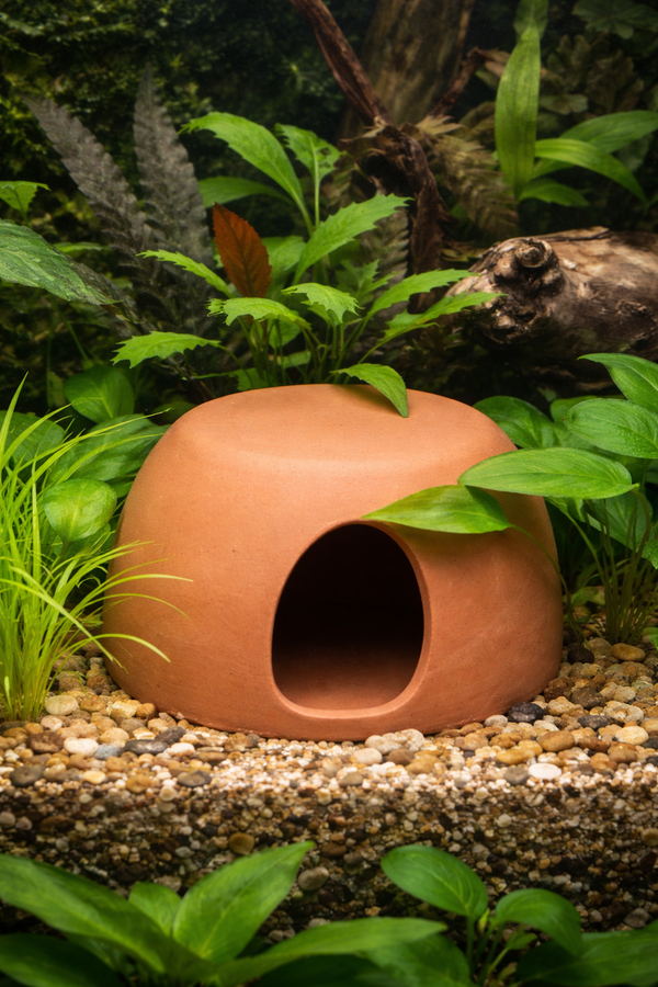 Cichlid Huts
