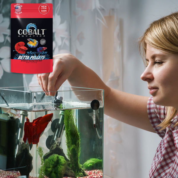 betta fish accessories canada Betta Pellets