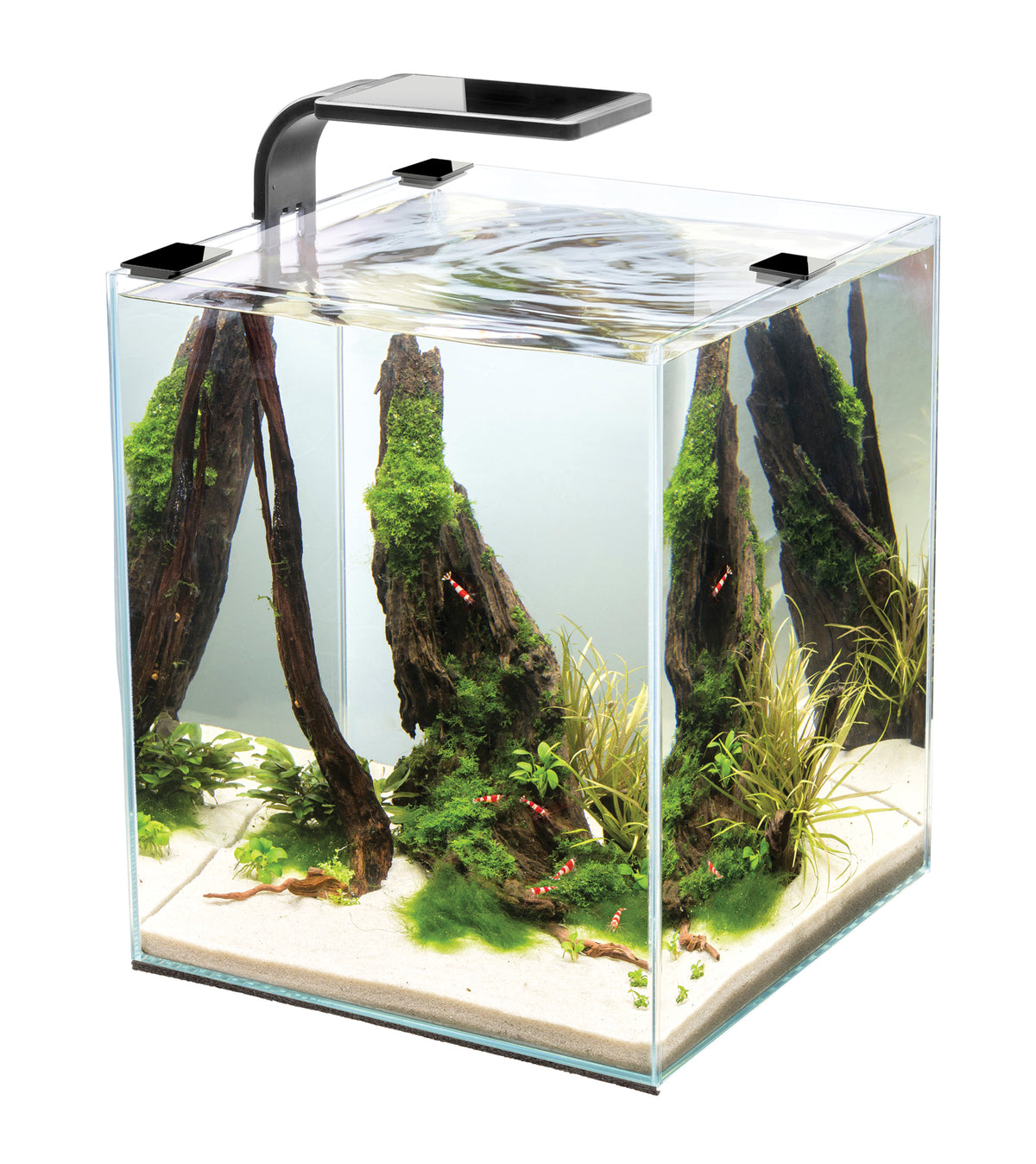 Desktop Aquariums & Accessories