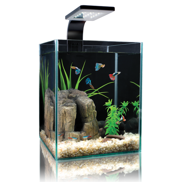 Microvue Aquarium Kit