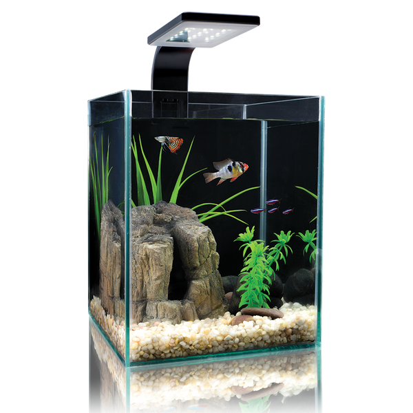 Microvue Aquarium Kit