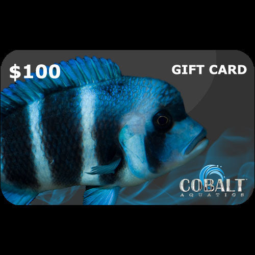 Cobalt Aquatics Gift Card $100