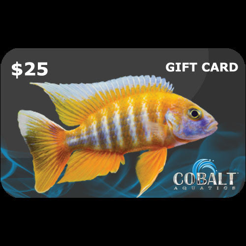 Cobalt Aquatics Gift Card $25
